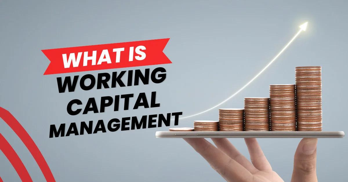Working Capital Management: The Key to Business Success